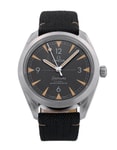 Pre-Owned Omega Seamaster Railmaster Watch
